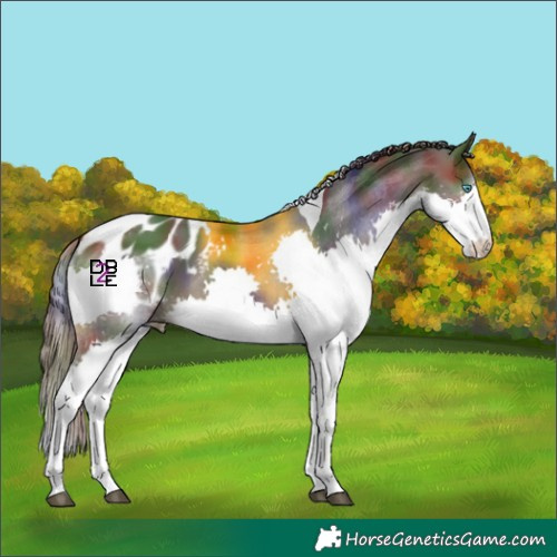 Horse Color:Nacre Brown Splash Tobiano Blanket 