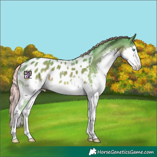 Horse Color:Watercolor Liver Chestnut Splash Near Leopard