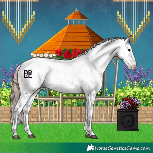 Horse Color:Black Pearl Mushroom Sabino 