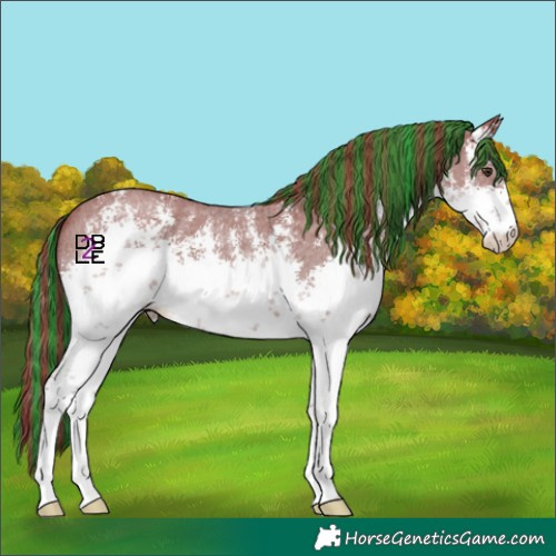 Horse Color:Platinum Painted White Spotted Chestnut Sabino Varnish 