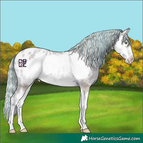 Horse Color:Platinum Painted Watercolor Gold Champagne Sabino Splash Frame Blanket
