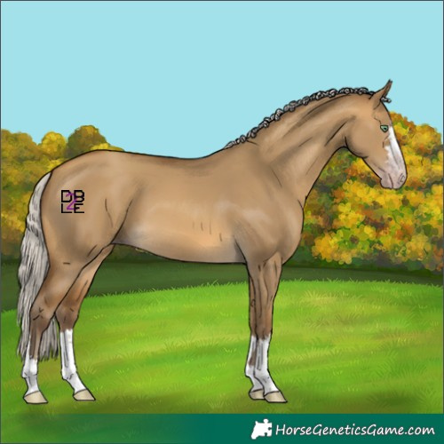 Horse Color:Gray Silver Sable Cream Champagne Dun 