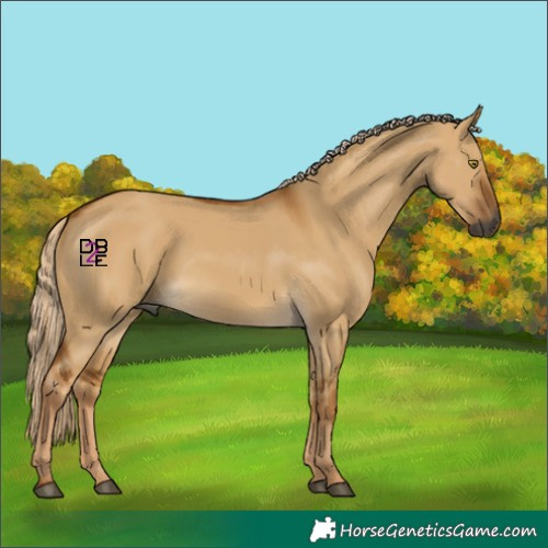 Horse Color:Gray Palomino Dun