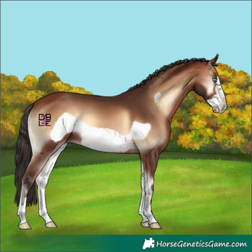 Horse Color:Bay Onyx Frame 