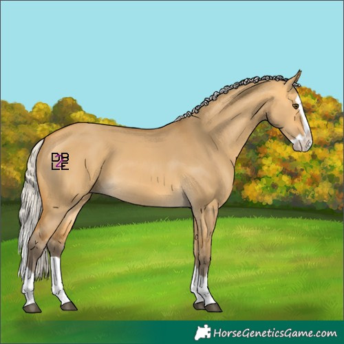 Horse Color:Silver Buckskin Dun Splash 