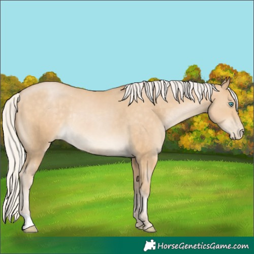 Horse Color:Silver Buckskin Pearl Rabicano