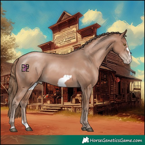 Horse Color:Black Pearl Mushroom Splash Frame