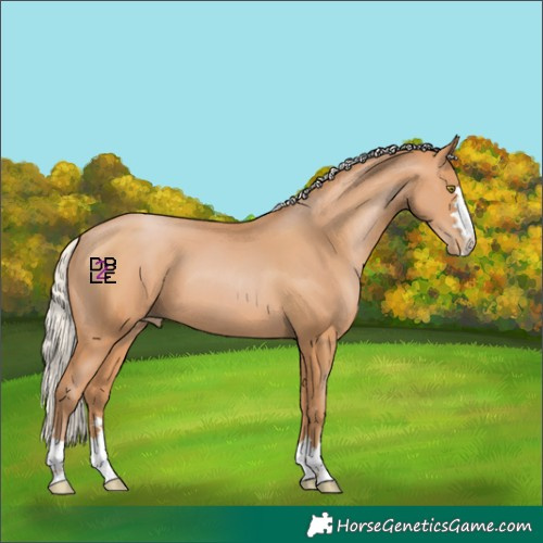Horse Color:Silver Bay Pearl 