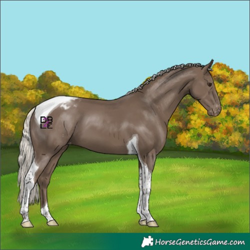Horse Color:Silver Black Tobiano Varnish
