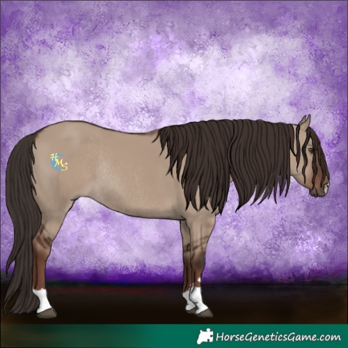 Horse Color:Liver Red Dun Rabicano