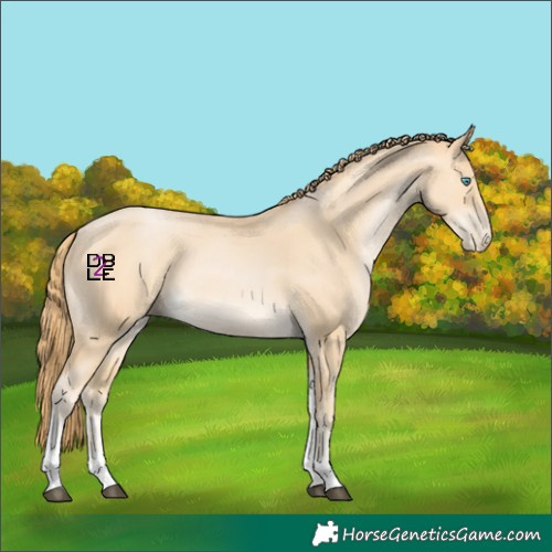 Horse Color:Buckskin Pearl Tobiano