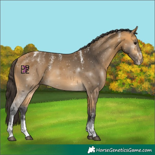 Horse Color:Powder White Buckskin 
