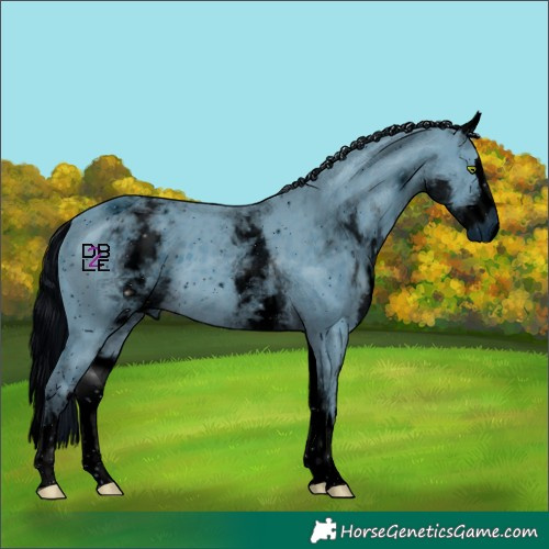 Horse Color:ERROR: UNKNOWN ANOMALY
