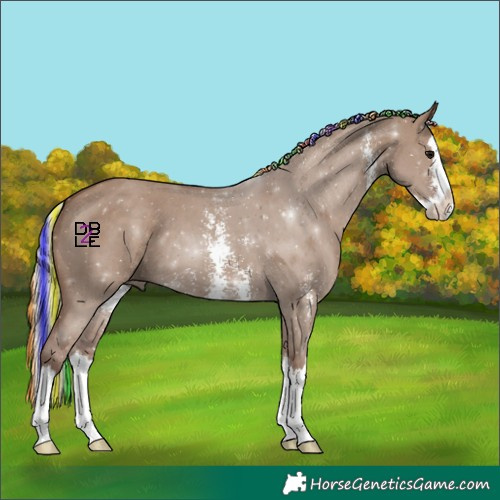 Horse Color:Painted Silver Grullo Sabino Splash 