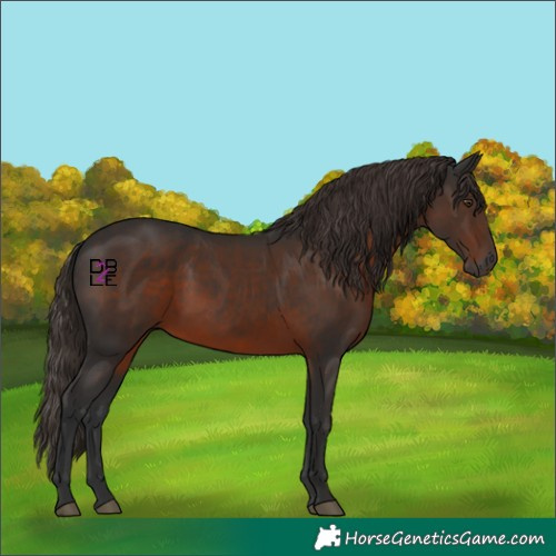 Horse Color:Gray Liver Chestnut
