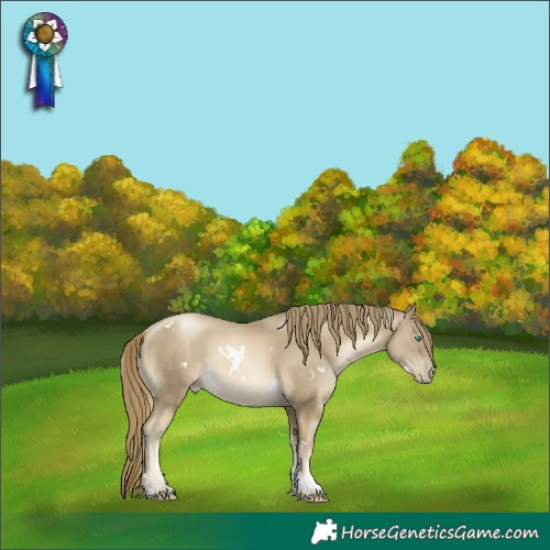 Horse Color:White Spotted Smoky Black Pearl Mushroom Tobiano 