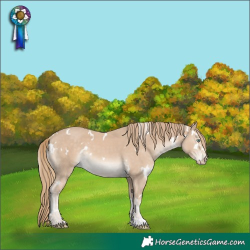 Horse Color:White Spotted Smoky Creme 