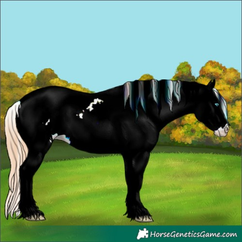 Horse Color:Buckskin Pearl Sabino Near Fewspot Rabicano
