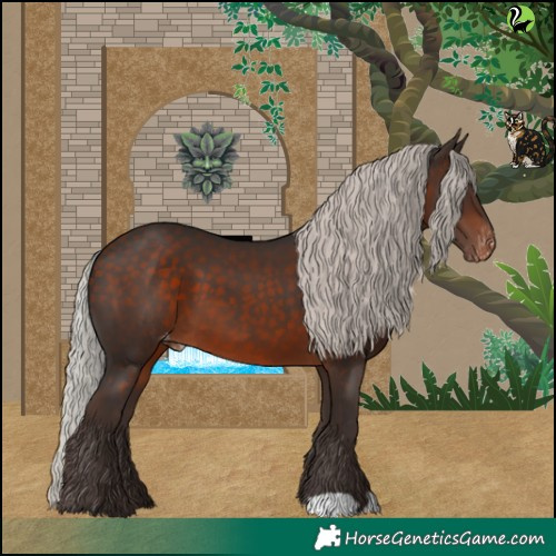 Horse Color:Silver Brown Skewed LP Spotted