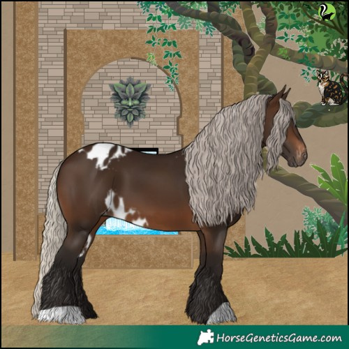 Horse Color:Gray Silver Brown Skewed LP Spotted
