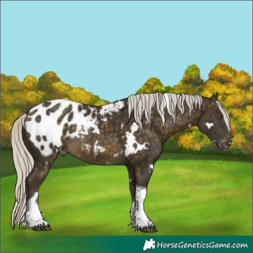 Horse Color:White Spotted Silver Buckskin Tobiano Blanket