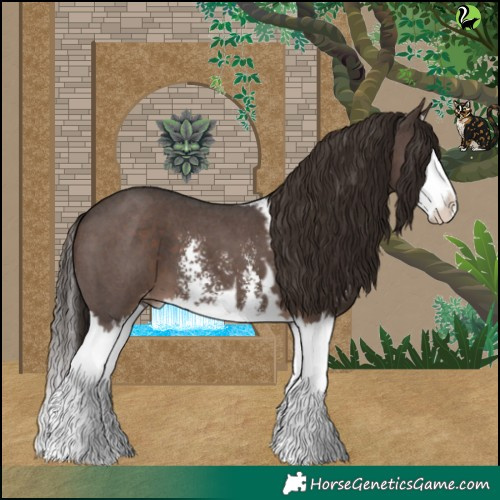 Horse Color:Liver Chestnut Sabino Splash Skewed LP Spotted 