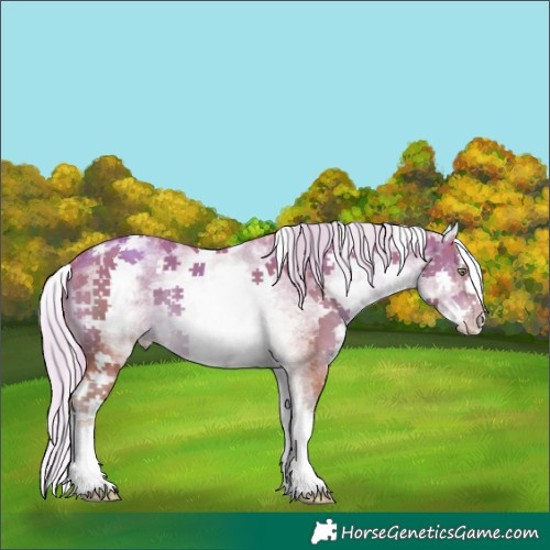 Horse Color:Watercolor White Spotted Gold Cream Champagne Splash
