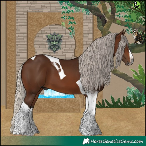 Horse Color:Gray Silver Bay Splash Tobiano Rabicano