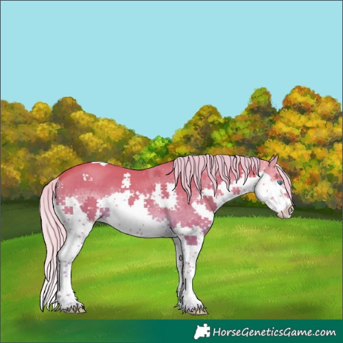 Horse Color:Watercolor Silver Perlino Splash Tobiano