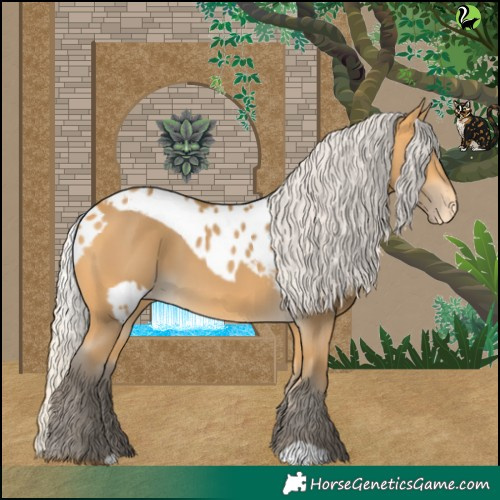Horse Color:Silver Buckskin Skewed LP Spotted
