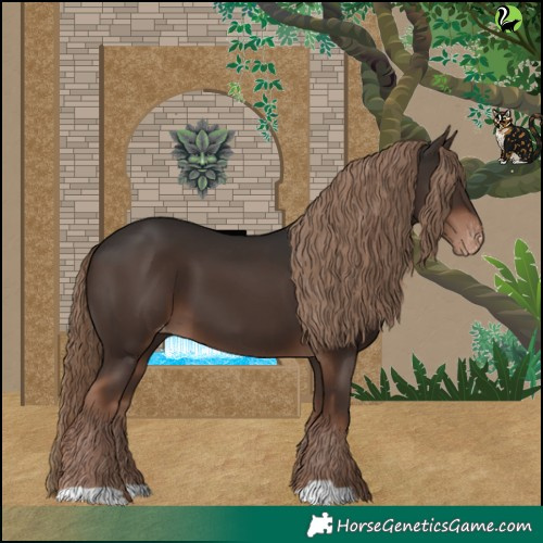 Horse Color:Liver Chestnut Skewed LP Spotted 