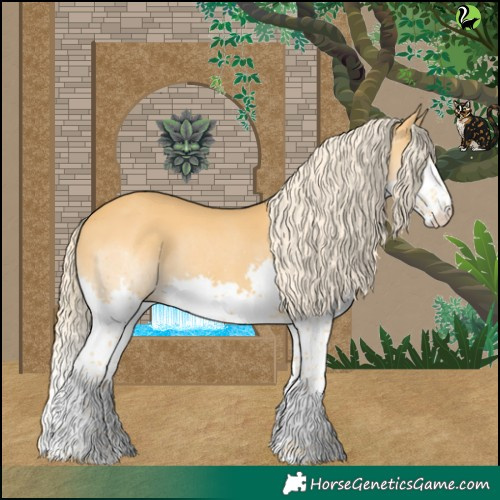 Horse Color:Palomino Splash Tobiano 