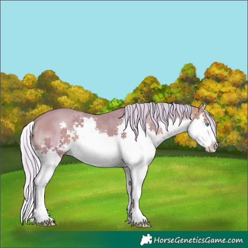 Horse Color:Watercolor White Spotted Silver Sable Champagne Splash Tobiano