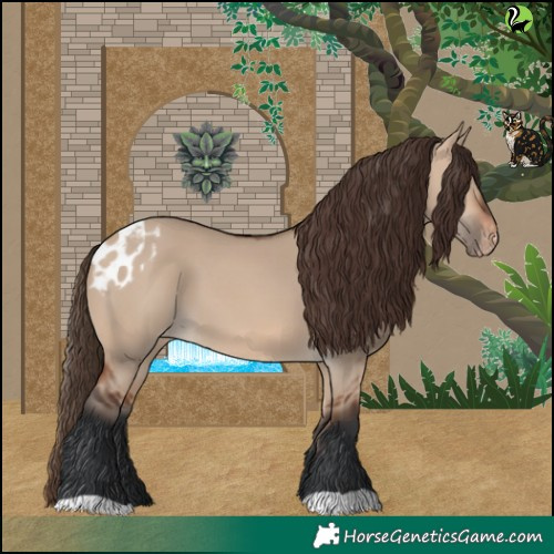 Horse Color:Bay Dun Skewed LP Spotted