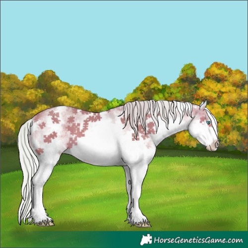 Horse Color:Watercolor White Spotted Silver Amber Champagne Splash