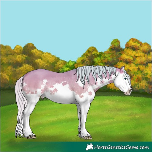Horse Color:Watercolor Silver Sable Cream Champagne Dun Splash Rabicano