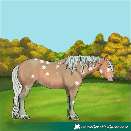 Horse Color:Watercolor Silver Sable Cream Champagne Dun Tobiano