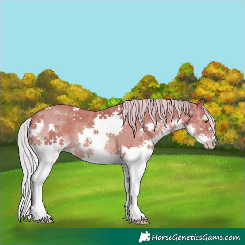 Horse Color:Watercolor Silver Classic Champagne Splash 