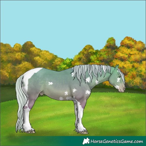 Horse Color:Watercolor Silver Sable Cream Champagne Dun Tobiano
