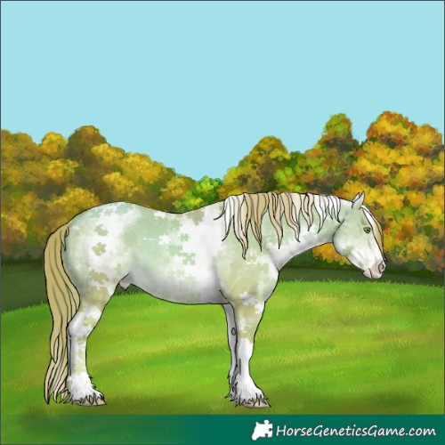 Horse Color:Watercolor White Spotted Gold Champagne Dun Varnish