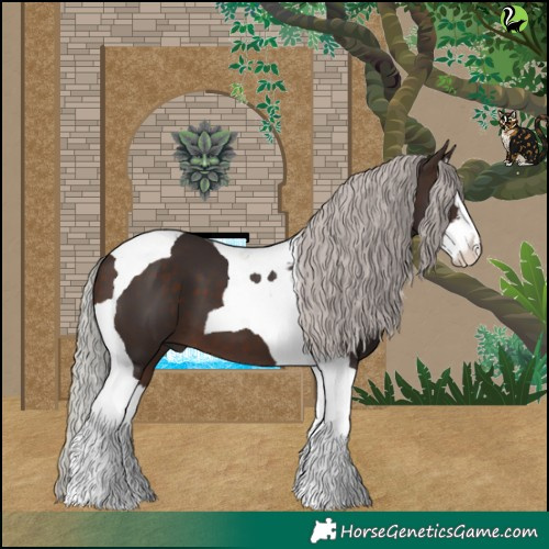 Horse Color:Silver Brown Splash Tobiano