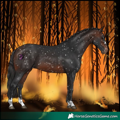 Horse Color:Brown Snowflake Varnish 
