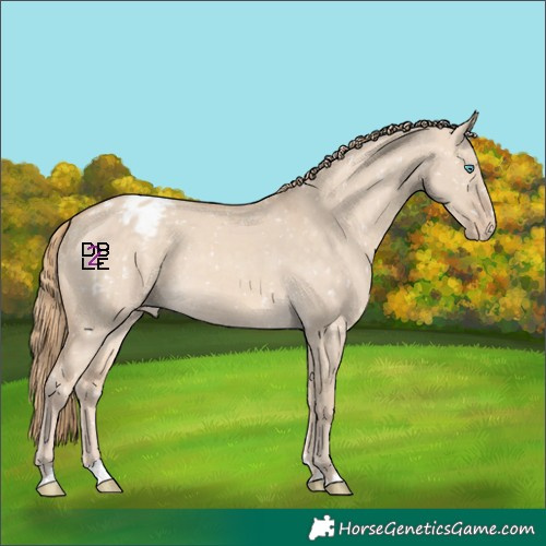 Horse Color:Perlino Dun Snowflake Varnish 