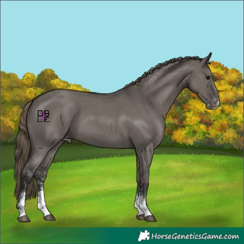 Horse Color:Smoky Grullo Sabino Varnish