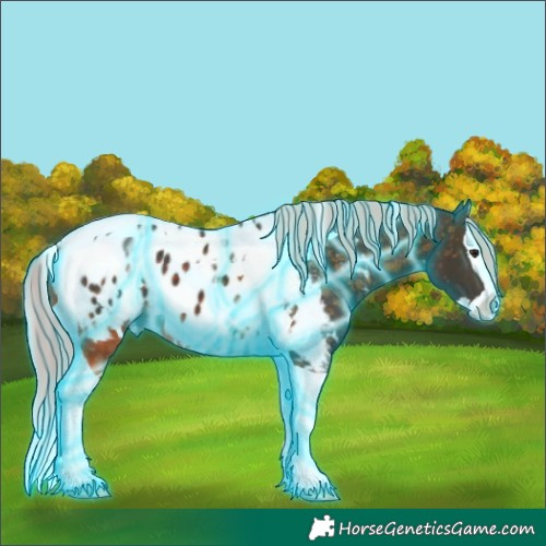 Horse Color:Thunderstruck White Spotted Silver Buckskin Splash Tobiano Blanket