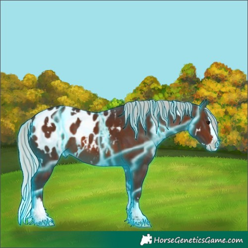 Horse Color:Thunderstruck White Spotted Silver Brown Splash Blanket 