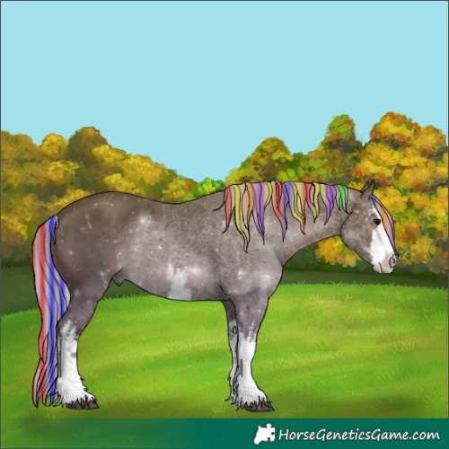 Horse Color:Painted White Spotted Silver Black Rabicano