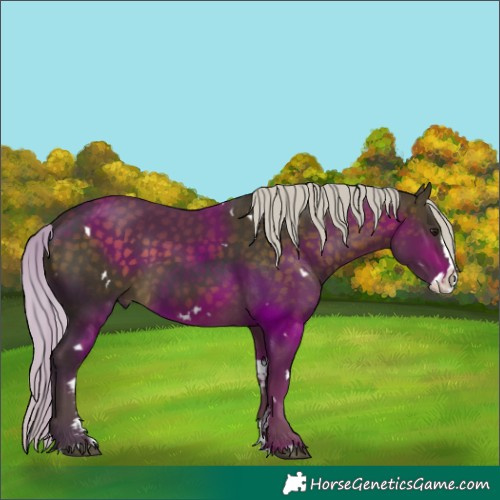 Horse Color:White Spotted Silver Buckskin Sabino Splash