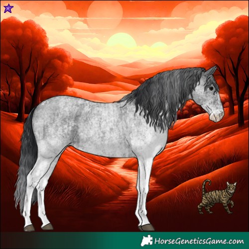 Horse Color:White Spotted Blue Roan Rabicano and White Spotted Blue Roan Rabicano