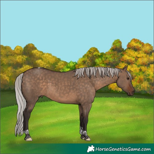 Horse Color:Silver Brown Dun Tobiano